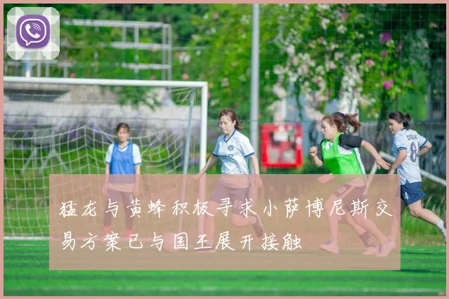 猛龙与黄蜂积极寻求小萨博尼斯交易方案已与国王展开接触